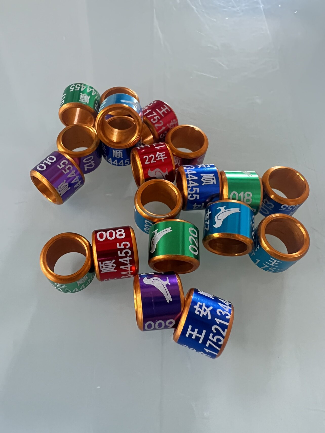 小甜甜宠物用品店123
