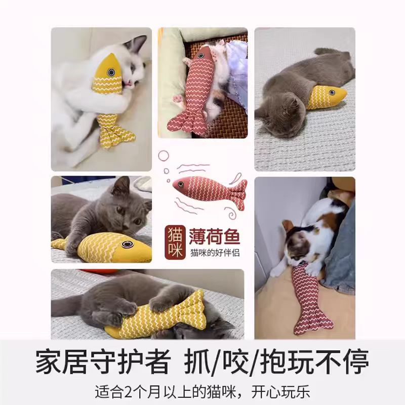 玩具汽车总动员：童年回忆杀，收藏家的终极神器！