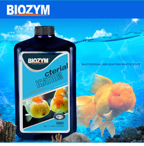 Baiyin white spot agent ornamental fish care parrot fish light fish goldfish koi cichlid guppies white spot net