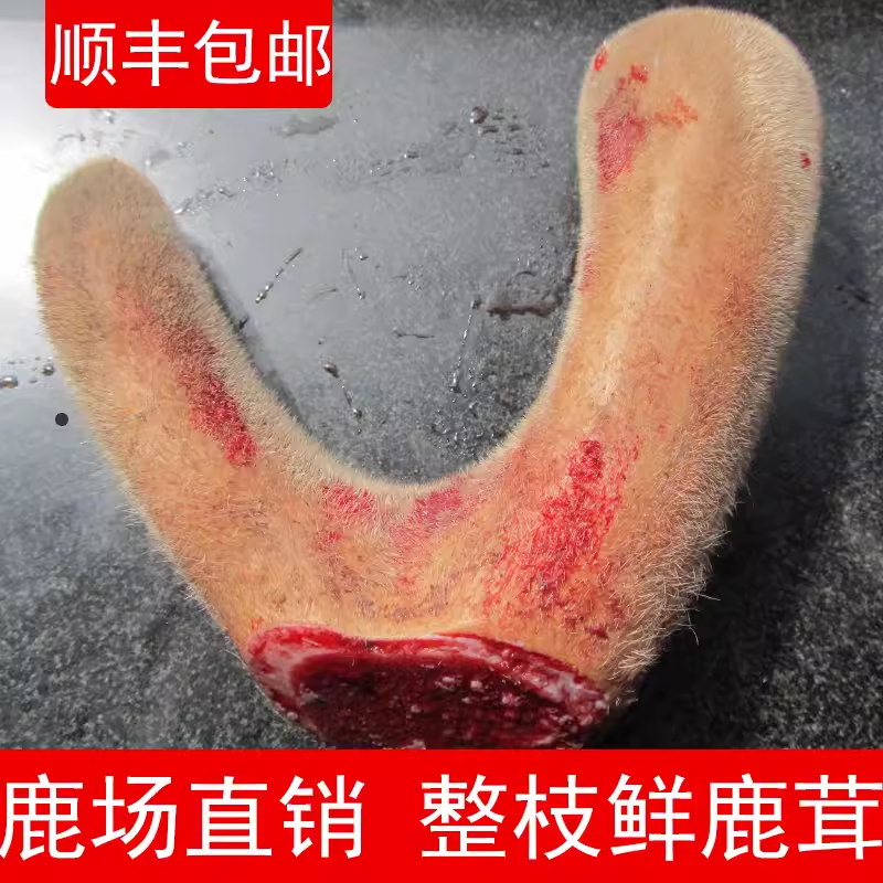 2023 glittering fresh plum blossom deer antler whole branches fresh and new cuts of Jilin Antler slices of piantler blood wine-Taobao