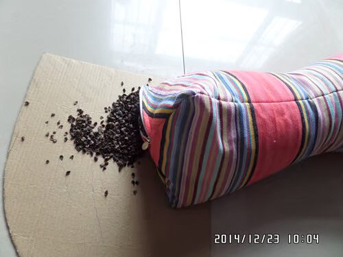 Nổi tiếng cũ thô gối xương hình gối cổ tử cung kiều mạch gối cổ tử cung bình thường sẽ làm đặc biệt cung cấp miễn phí vận chuyển - Gối gối chặn vỏ đỗ