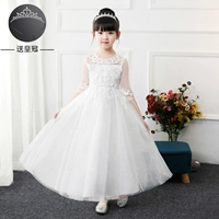 8816 [Белый] Следуйте за короной, отправьте корону