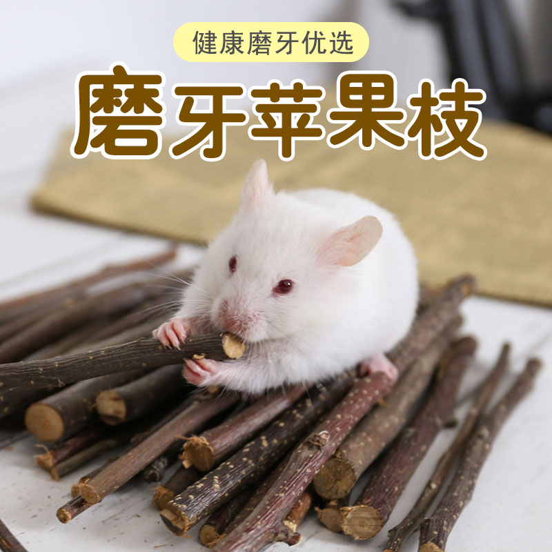 Apple branch molar stick pet molar bite wood hamster guinea pig chinchilla guinea pig rabbit molar supplies