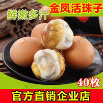 Jinfeng chicken live beads Shandong farming chicken embryo egg Gaoyou try to eat Xinhuo Zhuzi a mouthful of Huayan Reed 40
