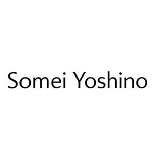 SOMEI YOSHINO 染井吉野