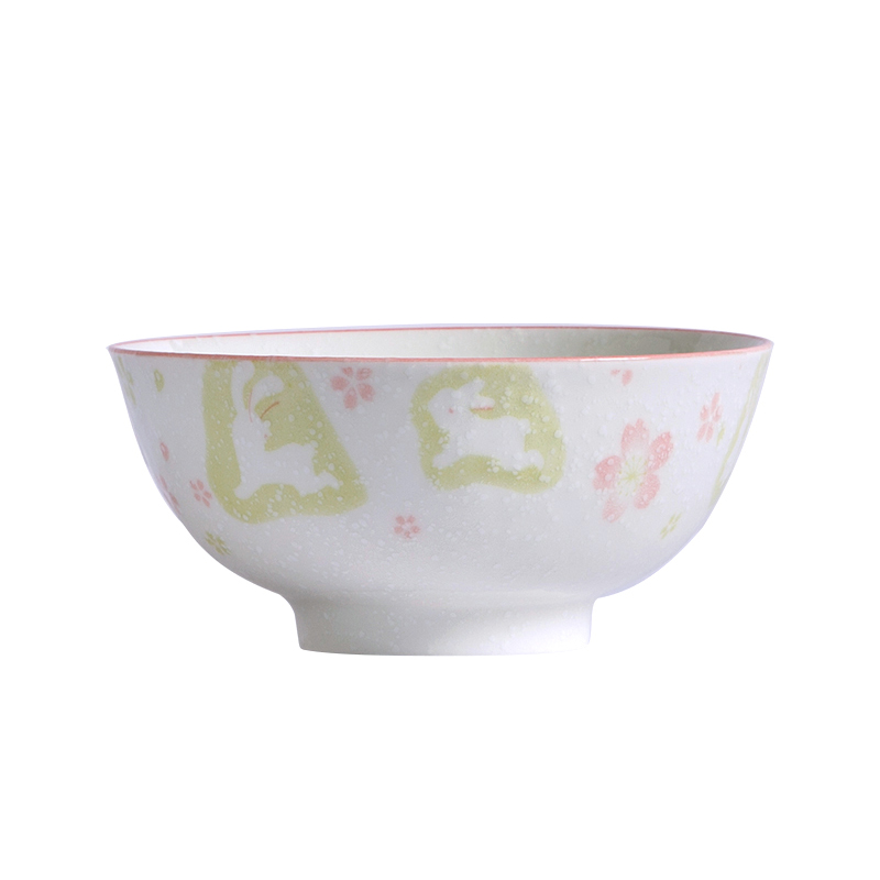 日系陶瓷餐具 4.9元包邮(5.9-1元券)