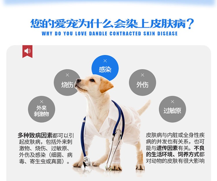 Golden Shield Pitfin Spray Dog Skin Bệnh nấm Thú cưng Ngoài bọ ve ngứa Mèo mèo bị nhiễm bệnh - Cat / Dog Medical Supplies xi lanh thú y