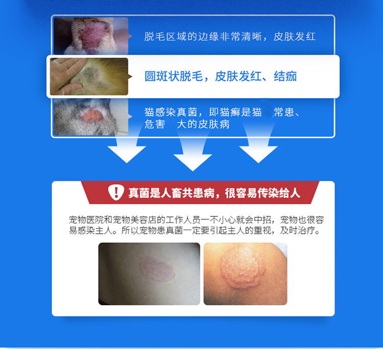 Golden Shield Pitfin Spray Dog Skin Bệnh nấm Thú cưng Ngoài bọ ve ngứa Mèo mèo bị nhiễm bệnh - Cat / Dog Medical Supplies xi lanh thú y