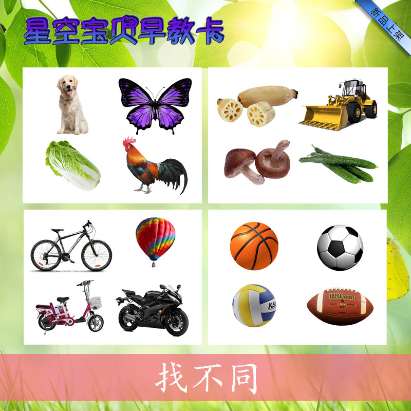 Find different types of cognitive understanding White plastic learning teaching aids Autism autism language thinking training cards