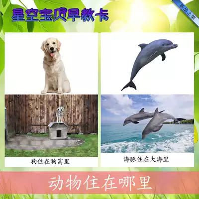 Where do animals live, recognize cards, autism training cards, autistic children, language, early education, plastic seal cards