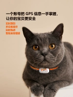 Показатель Pet Dog GPS Защита Коша