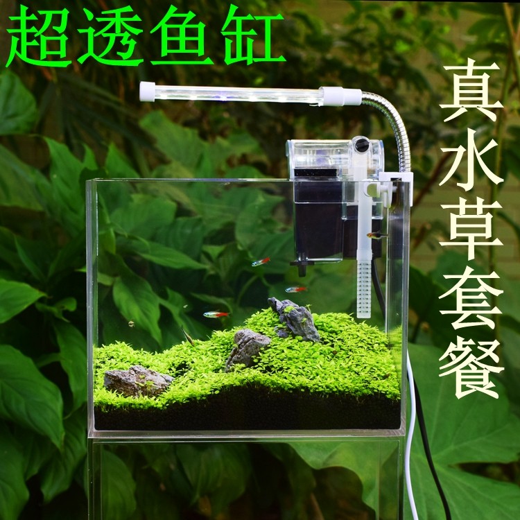 Desktop Acrylic Desktop Wall Decoration Square Betta Fish Tank