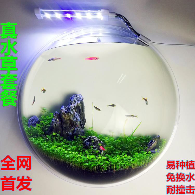 Desktop Acrylic Desktop Wall Decoration Square Betta Fish Tank