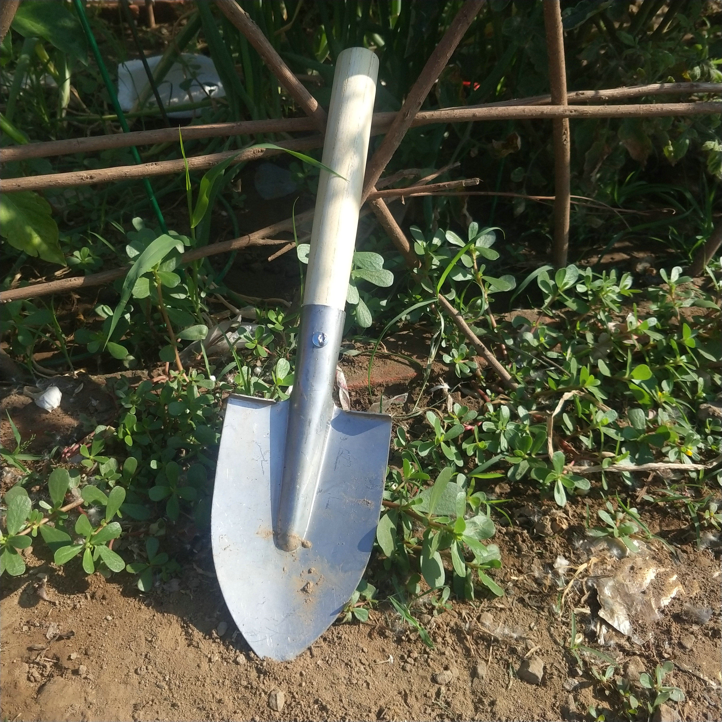 Digging wild vegetable gardening shovel stainless steel loosening trumpet rake agricultural tool five-tooth rake clam vegetable artifact