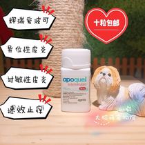 US Pfizer loves Pokable Dog with apoquel16MG allergic heterosexual dermatitis skin to quickly stop itching for 1 grain