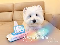 Large Face Cute Pet Supplies Taiwan Stink Rolling Dog Kitty Clean Dog Wet Tissue Disinfection Deodorant Dog Wet Wipes