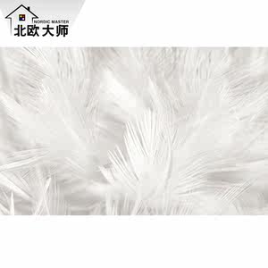 【羽毛墙纸图片】羽毛墙纸图片大全