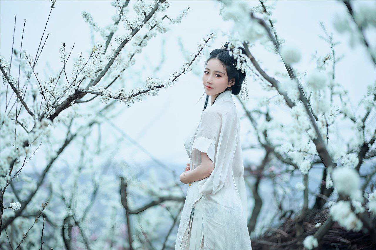 古风仙境：白色花树林系列