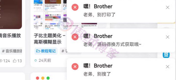 子比主题美化禁用提醒弹窗 – 新增禁用提示