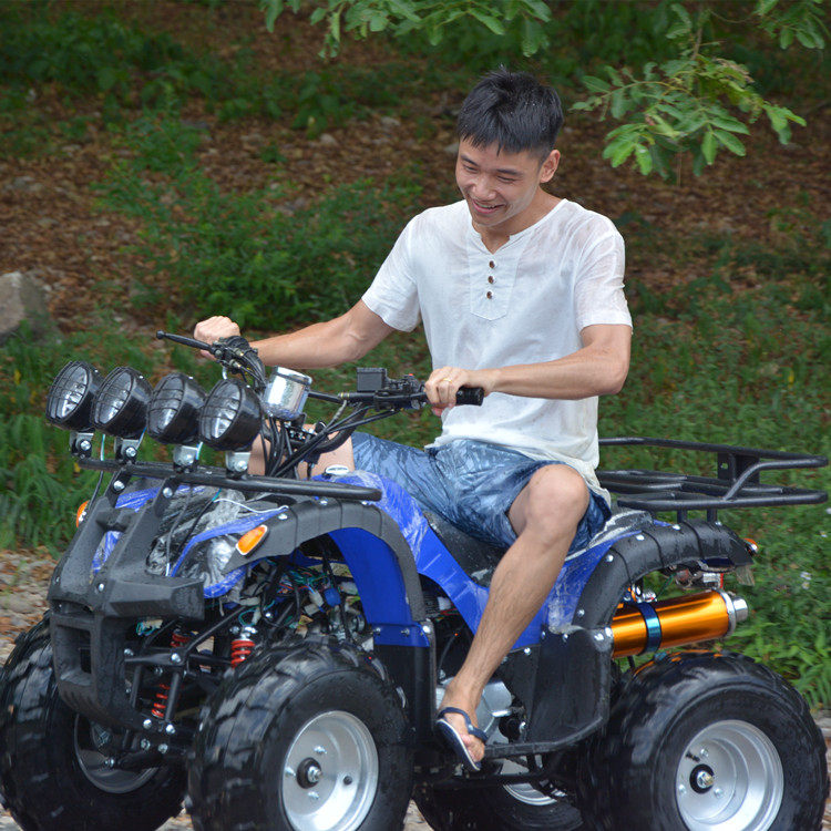 Size bull beach car axle drive 125-250 Mountaineering caravan Four wheels cross-country Ferris All terrain sports car