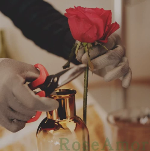 Оригинальные импортные ножницы, Южная Корея