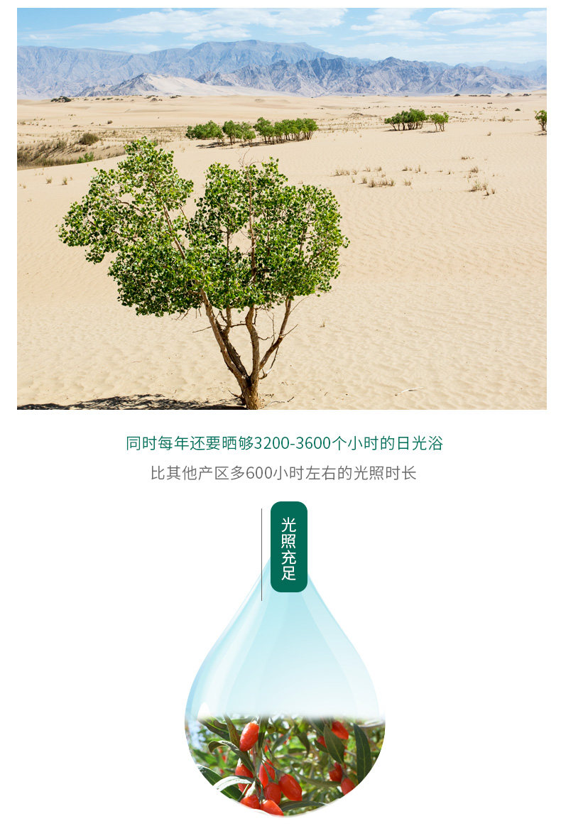 苏弥山 特优级正宗免洗枸杞 400g 欧美有机认证 图3