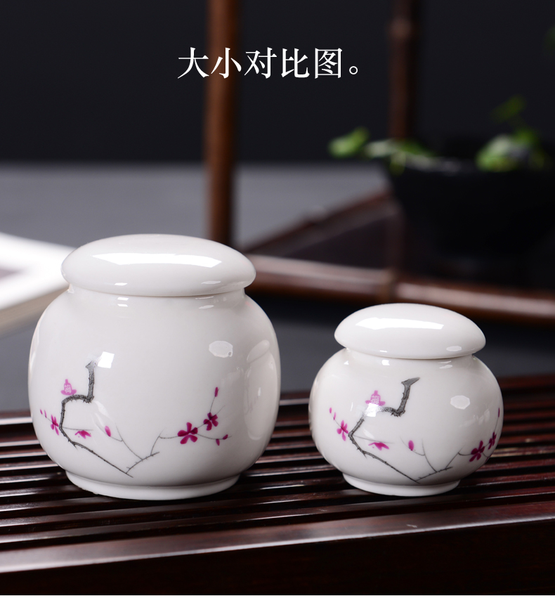 Blue and white porcelain tea pot ceramic small mini portable travel sealed as cans receives moistureproof box storage tanks