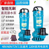 Battery car irrigation pump 48V60V72V clear water pump DC submersible pump high lift flow 3 inch 4 inch