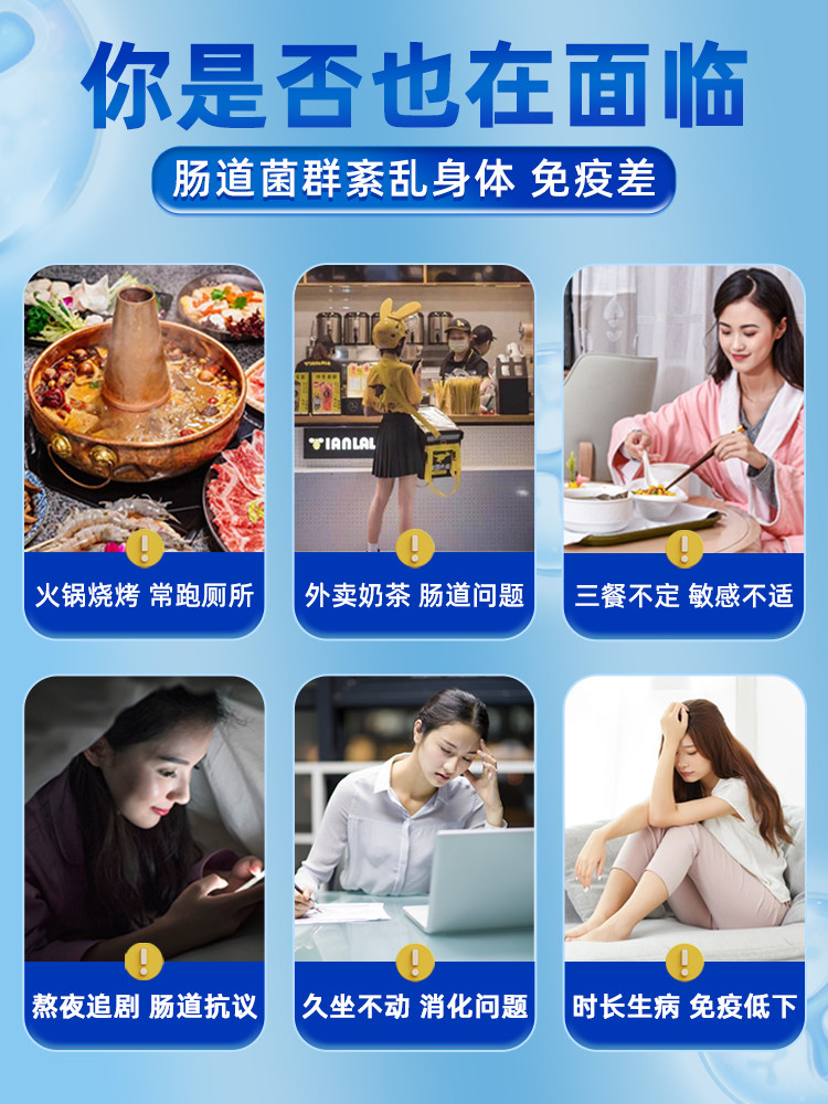 Probiotics for Adults Regulate the Gastrointestinal Tract, Strengthen the Spleen and Stomach, Enhance Immunity, Genuine Product from the Official Flagship Store, Yf