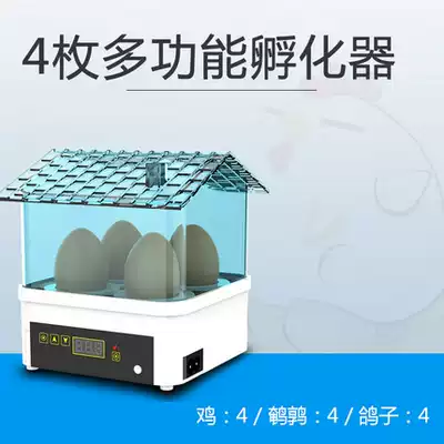 Water bed incubator electric automatic box breeding egg holding device floating artificial hatching duck goose hatching small double piece