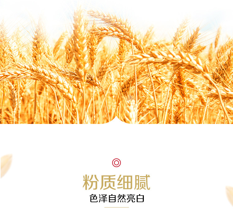 香滿(mǎn)園家用中筋面粉小麥粉