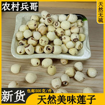 Special class Zhengzong new white lotus seed 500g Jiangxi Guangchang No sulphur dry goods Chinese herbal medicine no core centerless to the core