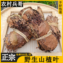 Wild hawthorn tea New stock 500g Fresh dry goods pure no sulphur to raise raw tea dried leaves Chinese herbal medicine Bubble water