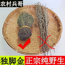 Sulfur-free smoked-single-foed gold 50g wild malnutrition Herb Fresh dried goods Chinese herbal medicine childrens appetizing soup bag