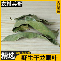 Dry Dragon Eye Leaf Dry Goods 500g Nourishing Turtle Free of Imitation Original Ecology to Improve Water Quality Prevention of Corruption Perrot chia Disease