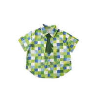 Рубашка зеленое (N3273) Пятно