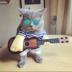 Quần áo chó rung Mèo Pet Dress Chơi Guitarist Transformer Hài hước Teddy Teddy Bear - Quần áo & phụ kiện thú cưng