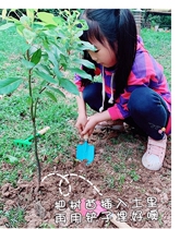 Children Planing small potted sets Tools gardening Shovel Sand Earth Toddler Students Harrowing Hand Colored Tin