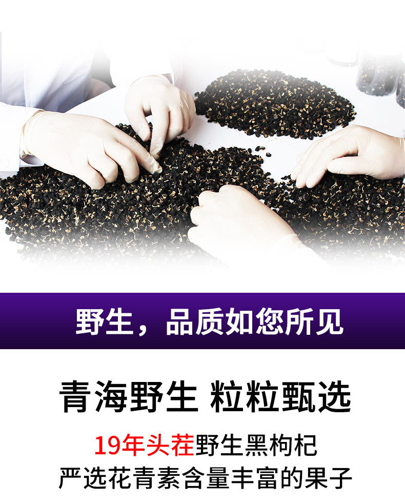 草之星 头茬野生黑枸杞 滋补肝肾 富含花青素 50g 图4