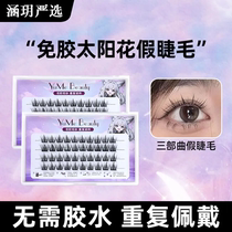 (Reusable) No-disassembly no-glue false eyelashes self-adhesive false eyelashes Sunflower Trilogy single cluster reusable