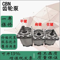High-pressure gear pump CBN-F304 F306 F310 F314 F316 F320 F325 E hydraulic pump