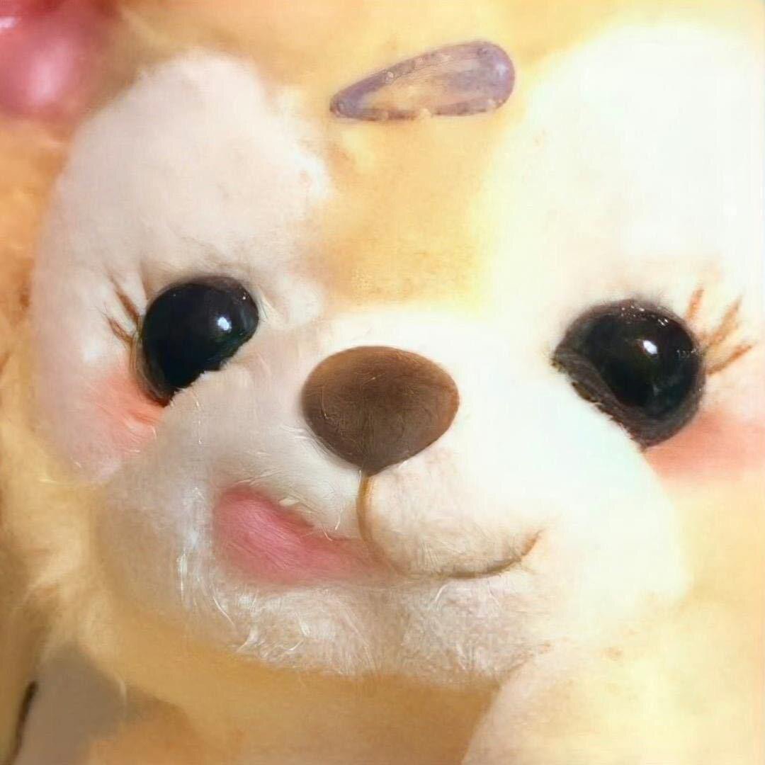 威科发质品