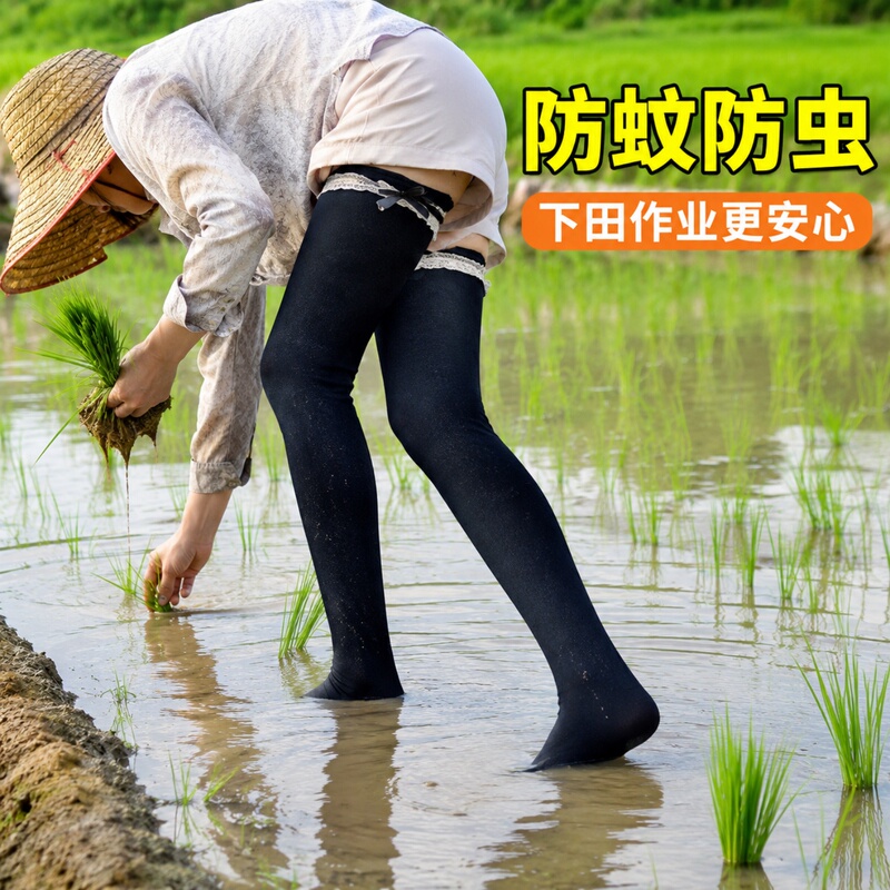 Farm Socks, Rice Planting Socks, Men's Paddy Field Socks, Thick Long Waist Socks for Planting Rice, Anti-Leech Long Socks for Planting Seedlings Farm Socks, Rice Planting Socks, Men's Paddy Field Socks, Thick Long Waist Socks for Planting Rice, Anti-Leech Long Socks for Planting Seedlings