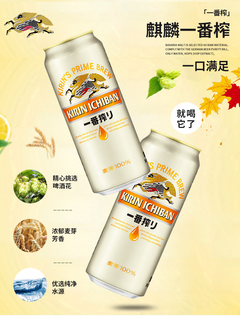 Кирин 500 Подробности Page_05.jpg