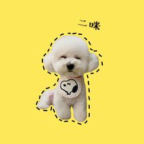 Pet cute saliva towel Dog bib Cat Snoopy Teddy Bear Bomei scarf Small dog bib