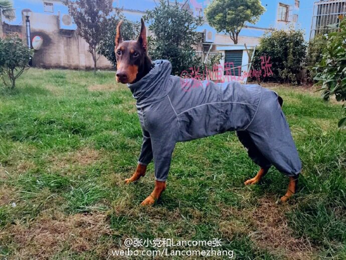 hurtta body warmer overall