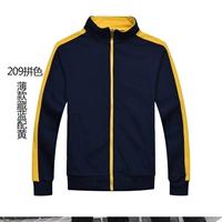 209 Цветовая комбинация Скрытая синяя и желтая