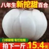 Товары от 珍世夫旗舰店