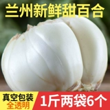 Shunlan 葙 顺 顺 顺 顺 Свежая сладкая лилия 500G шесть десен 啻 笞 顺 顺 顺 顺 佞 顺 顺 顺 顺 顺 顺