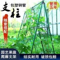 Climbing Vine plant bracket support bar Balcony Courtyard Flower Shelf Cucumber Grape Rack Gardening Vine plastic pillar